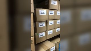 Xerox originele transferroleenheid 019K16290