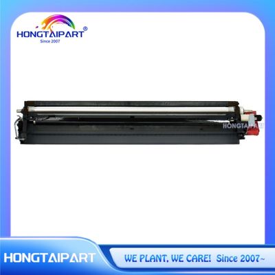 Zwarte ontwikkelaarseenheid D177-3025 D177-3026 D177-3027 D177-3028 D177-3020 D177-3021 D177-3022 D177-3023 voor Ricoh MP C2003 C2503 Bedrijfsdrukapparatuur